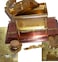 Holy Land Market ArkMedSet Replica of the Ark of the Covenant Gold Plated Medium Tabletop Display Includes Aarons Rod Manna Vessel