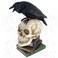 Alchemy Poes Raven
