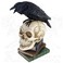 Alchemy Poes Raven