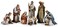 Joseph's Studio Josephs Studio by Roman 7Piece Nativity Set Includes Holy Family Wise Men and Shepherd 95 H Resin and Stone Decorative Figures Collection Durable Long Lasting