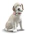 LLADR&Atilde;&ldquo; LLADR This Bouquet is for You Dog Figurine Porcelain Dog Figure