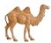 Fontanini by Roman Standing Camel Nativity Figurine 5Inch