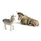 Willow Tree Ox and Goat Nativity Figures Offering Warmth and Protection Build On A Holiday Tradition by Adding Animals to Nativity Display Sculpted HandPainted Figures 2Piece Set