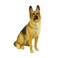 UNICORN STUDIO US German Shepherd Dog Figurine