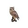 HI-LINE HiLine Gift 87767B Ltd Screech Owl on Stump 675inch Height