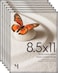 MANTELLO ESSENTIALS 85 by 11 picture frame 6 PACK 85 x 11 frame Front Loading picture frames 85 x 11 Pictures Documents Certificates Diplomas And More