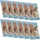 Snap Set of 12 8x10 Clear Acrylic Self Standing Photo Frames Perfect for Showcasing Memories in Style Versatile and Durable Design for Home or Office Dcor Rectangular TableTop Single Picture Frame