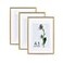 Atryinous A3 Oak Wood Picture Frame 3 Pack Natural Grain Photo Frame Display Picture A4 with Mat or 117x165 Without Mat Art Gallery Poster Frame