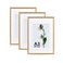 Atryinous A3 Oak Wood Picture Frame 3 Pack Natural Grain Photo Frame Display Picture A4 with Mat or 117x165 Without Mat Art Gallery Poster Frame