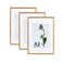 Atryinous A3 Oak Wood Picture Frame 3 Pack Natural Grain Photo Frame Display Picture A4 with Mat or 117x165 Without Mat Art Gallery Poster Frame