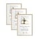 LYYYXGYP A4 OAK Wood Picture Frame 3 Pack 83x117 Wooden Photo Poster Certificate Frame with Plexiglass for Wall Mount or Tabletop Display