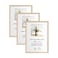 LYYYXGYP A4 OAK Wood Picture Frame 3 Pack 83x117 Wooden Photo Poster Certificate Frame with Plexiglass for Wall Mount or Tabletop Display