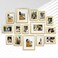 Venusmiles 15 Pack Picture Frames Collage Wall Decor Gallery Frame Set for Wall Mounting or Tabletop Display Multi Sizes Including 3pcs 8x10 6pcs 5x7 6pcs 4x6 Gold