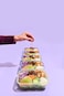 Ello Snap Nest 10Piece 45 Cup Plastic Meal Prep Set Reusable Food Containers for Healthy Eating Freezer Dishwasher Safe Desert Festival