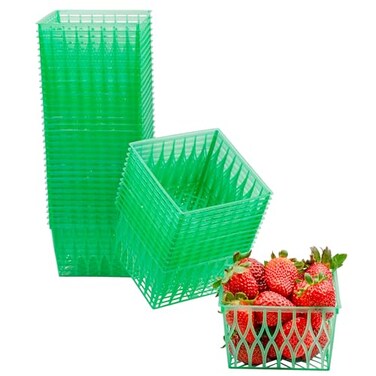 Cornucopia Brands Pint Size Plastic Berry Baskets 48Pack 4Inch Berry Boxes wOpenWeave Pattern Ideal for Summer Picking Crafts 48 Boxes