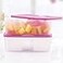 Tupperware Freezermate 15 L Plastic Fridge Container Pack of 2 Pink