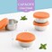 Qukaka 6x16 Oz Salad Dressing Containers With Lids Small Leakproof Reusable Stainless Steel Salad Dressing Container To Go For Lunch BoxesSauce containers PicnicsTravel Meal Prep And Kitchen Storage