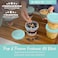 Bentgo Prep 20 Piece 16 fl oz LeakProof Deli Containers with Lids Food Storage for Meal Prep TwistTop Reusable PFAS BPAFree Stackable Microwave Freezer Dishwasher Safe Sea Blue