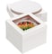 Packpal 20Pack 12 Inch Cake Boxes With Cake Boards 10 boxes 10 boards 12X12X8 Inch White Bakery Boxes With Windown For Cajas Pasteles Cookie PastriesPie Wedding Birthday Fathers day