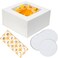 GylSun 5 sets Cake Boxes 10x10x5 inches with Cake Boards Bakery Boxes for Cakes