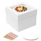 Vorfre 3 Pack Cake Boxes 10x10x8 Inches Tall Cake Box with Cake Boards White Bakery Boxes with Window Disposable Cake Containers with Lids for Cake Donuts Pies Cookies Wedding Birthday Party
