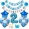 zrjssyp 2nd Birthday Decorations Blue Princes 2nd Birthday Party Decorations Blue 2 Year Old Birthday Party Supplies
