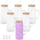 Maucircol 20 Oz Snow Globe Glass Cup With Handle 6 Pack PreDrilled Double Wall Glass Coffee Mug For Snowglobe Diy Glitter Double Wall Snow Globe Tumbler with Bamboo Lid