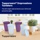 Tupperware Impressions Tumbler Set in Blue Purple 4 Count Dishwasher Safe and BPA Free 4 Tumblers 4 Lids 17 fl oz each