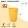 Lazycorner Wheat Straw Cup 12 Pcs Drinking Glasses Unbreakable Drinking Cup Reusable Water Plastic Glasses Tumblers with 6 Colors 12 oz