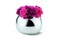 Philippi Bella Vase Small Stainless Steel Silver 16 x 16 x 12 cm