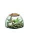 LSA International Canopy Closed Garden Planter 65 Luxury Handcrafted Modern Recycled Glass Vase with Domed Base and Sustainable Cork Lid