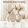 Liotww Snuggle Hollow Ceramic Donut Vase Set of 2 for Coffee Table Decor Decorative Vases for Boho Modern Table Centerpieces Home Living Room Entryway Table Shelves Decoration Beige 63 W x 84 H