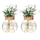 wangsdjy Plant Propagation StationHydroponic Terrarium VaseDesktop Glass Planter Stationfor HousesGarden Decorationsropagating Hydroponic PlantsCenterpiece OfficeHome Garden Decor 2