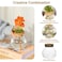 wangsdjy Plant Propagation StationHydroponic Terrarium VaseDesktop Glass Planter Stationfor HousesGarden Decorationsropagating Hydroponic PlantsCenterpiece OfficeHome Garden Decor 2