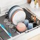 iSPECLE Expandable in Sink Dish Drying Rack with Cup Holder Rust Resistant Adjustable Over The Sink Dish Drainer with Tightening Knob Arms with Non Slip Rubber Fits Sink 124171 Black