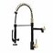 Fapully BlackGold Kitchen Faucet with SprayerCommercial Pull Down Kitchen Faucet for Kitchen Sink