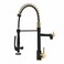 Fapully BlackGold Kitchen Faucet with SprayerCommercial Pull Down Kitchen Faucet for Kitchen Sink