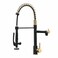 Fapully BlackGold Kitchen Faucet with SprayerCommercial Pull Down Kitchen Faucet for Kitchen Sink