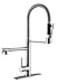 GIMILI Commercial DualSpout Kitchen Sink Faucet with Pull Down Sprayer Brushed Nickel