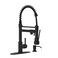 Casavilla Kitchen Faucet with Soap Dispenser Single Handle Spring Kitchen Sink Faucets with Pull Down Sprayer and Deck PlateBlack Faucet for Camper Farmhouse RV Kitchen SinkDual Function Spray Head