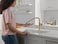 Delta Daneri Brushed Gold Kitchen Faucet with PullOut Sprayer Modern Single Hole Kitchen Sink Single Handle Champagne Bronze 16879CZDST
