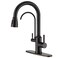 APPASO Kitchen Faucet with Water Filter Without Water Filtration Device Oil Rubbed Bronze 3in1 Kitchen Sink Faucet High Arch 2Handle 3Way Kitchen Faucet with PullDown Sprayer