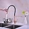 Pirooso Copper Kitchen Faucet with Pull Down Sprayer Solid Brass Red Copper Black Kitchen Sink Faucet Single Handle 360 Rotation