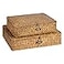 FOSSORH Set of 2 Flat Seagrass Storage Bins with Lid Wicker Storage Baskets for Organizing Woven Shelf Organizer Bins Home Utility Organizer Box for Home Office Supplies Caramel