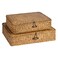 FOSSORH Set of 2 Flat Seagrass Storage Bins with Lid Wicker Storage Baskets for Organizing Woven Shelf Organizer Bins Home Utility Organizer Box for Home Office Supplies Caramel