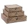 Hipiwe Flat Wicker Basket Bins with Lid Set of 3 Handwoven Seagrass Storage Basket Shelf Baskets Boxes Multipurpose Home Organizer Bins Boxes for Shelf Pantry ClosetLarge Size 148x13 Coffee