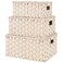 GRANNY SAYS Wicker Storage Baskets with Lids Set of 3 Decorative Storage Boxes Baskets for Organizing Butter Milk 3Pack