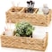 Pumtus 2 Pack 3Section Woven Baskets Water Hyacinth Storage Bin Handwoven Desk Organizer Toilet Paper Container Rectangle Holder for Counter Top Toilet Tank Shelves Coffee Bar Pantry