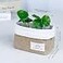 TENEBRALUX Small Cotton and Linen Hanging Storage Basket for Desktop Ideal for Organizing Keys and Miscellaneous Items 2