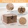 Hipiwe Seagrass Basket with Lid Wicker Storage Basket Square Handwoven Decorative Baskets Box for Shelf Multipurpose Household Baskets Home DecorXsmall